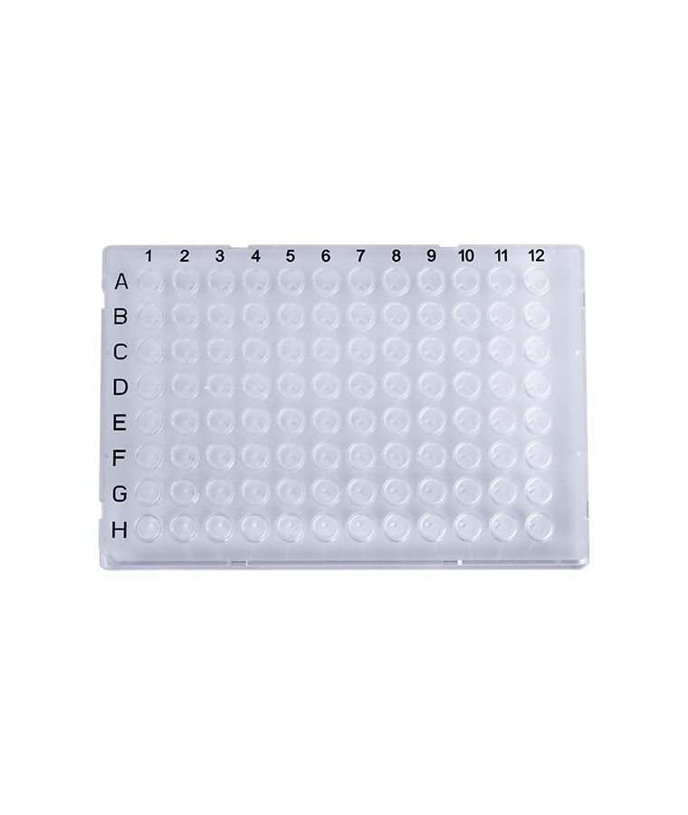 PCR20-C-96-FS-BC 0.2ml jernih 96-telaga skirt penuh plat PCR